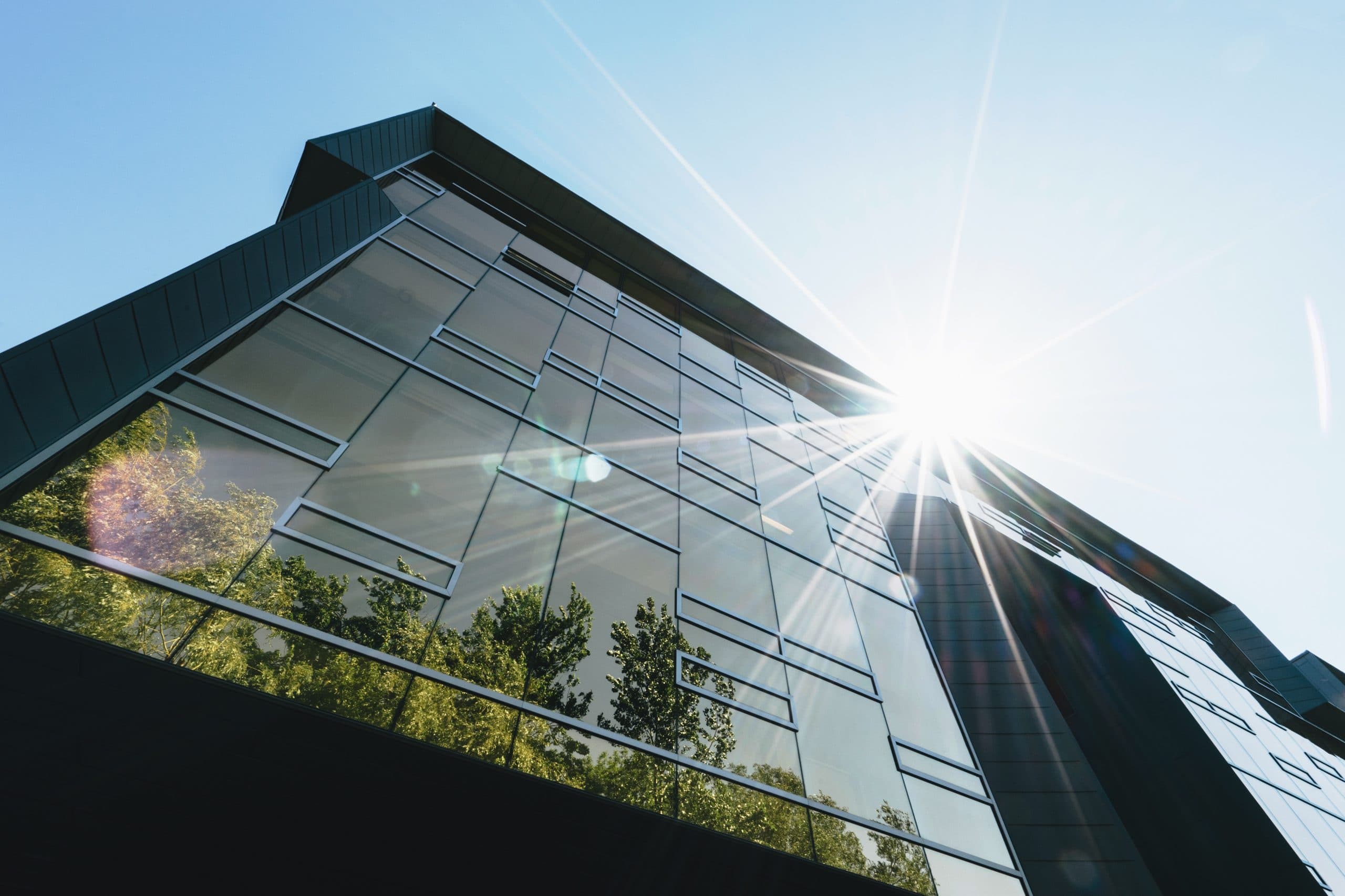 About Cereno Group